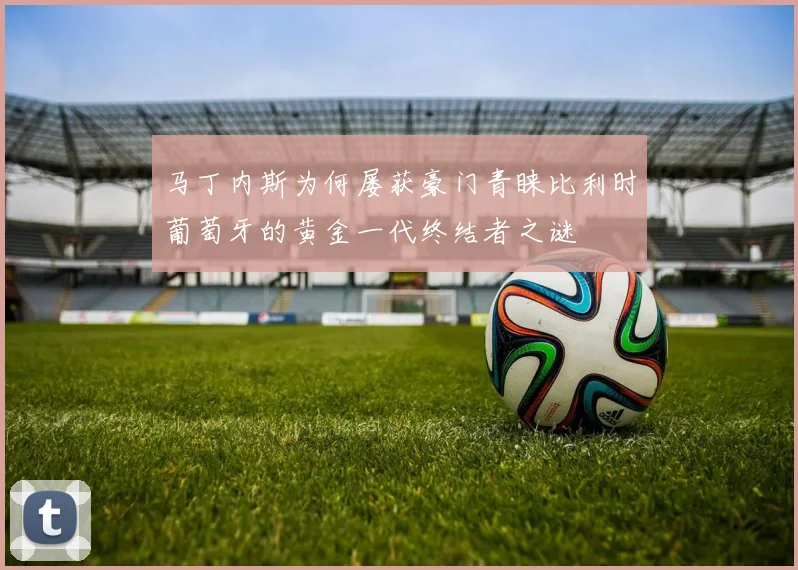 马丁内斯为何屡获豪门青睐比利时葡萄牙的黄金一代终结者之谜