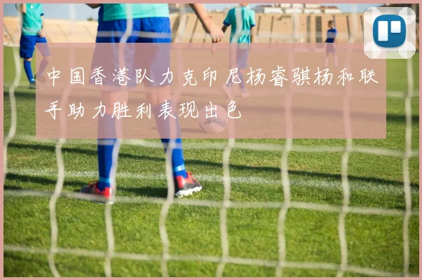 中国香港队力克印尼杨睿骐杨和联手助力胜利表现出色